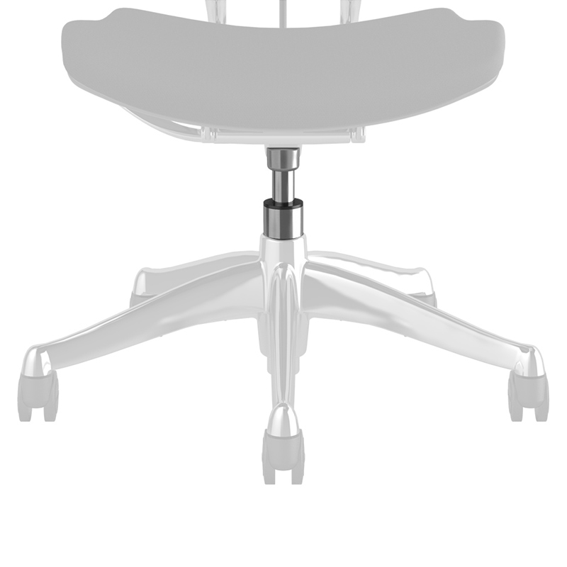 Standard 5