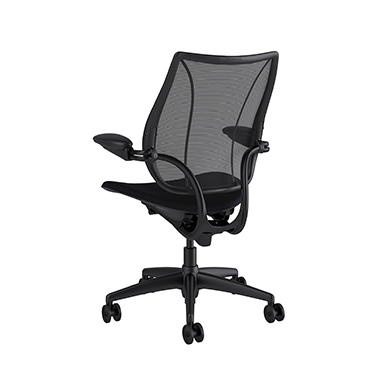 Liberty Task Chair, Monofilament Stripe Black Backrest, Fourtis Black Seat Picture 3