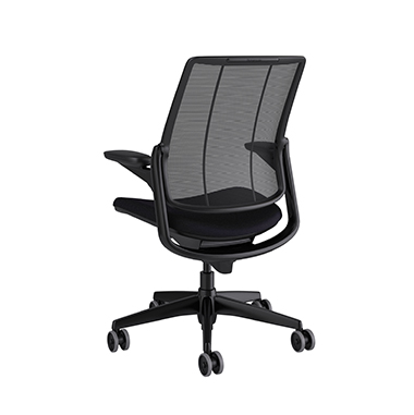 Diffrient Smart Chair, Monofilament Stripe Black Back, Fourtis Black Seat Picture 3